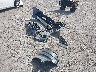 JTMCY7AJ6L4****** Usados y Reparables 2020 Toyota Land Cruiser en Dallas