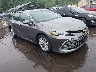 4T1C11BK3RU****** Salvamento y Destrozados 2024 Toyota Camry en Hartford