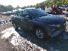 5NMJBCDE9RH****** Salvamento y Destrozados 2024 Hyundai Tucson en Pulaski
