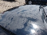KMHLM4AGXMU****** Salvamento y Reparables 2021 Hyundai Elantra en Estado de Kansas