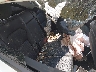 7SAYGDEE6TA****** Wrecked 2026 Tesla Model Y in Rochester