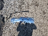 3GTU2PEJ0JG****** Salvamento 2018 GMC Sierra 1500 en Estado de Virginia Occidental