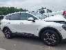 KNDPVCDG4R7****** Repairable 2024 Kia Sportage Hybrid in North Carolina State