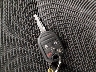 1FAHP2E81DG****** Salvage 2013 Ford Taurus in Minnesota State