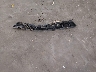 1FAHP2E81DG****** Wrecked 2013 Ford Taurus in Minnesota State