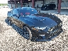1FA6P8CF9K5****** Salvamento y Destrozados 2019 Ford Mustang en Elkton