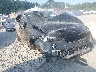 WBXHT3C57K3****** Salvage and Repairable 2019 BMW X1 in Georgia State