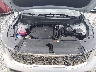 5XYRLDJC9TG****** Reparables 2026 Kia Sorento en Shady Spring