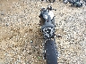 JS1GT77A682****** Repairable 2008 Suzuki GSX-R1000