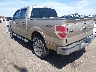 1FTFW1EF2EK****** Salvamento y Reparables 2014 Ford F-150 en Grenada