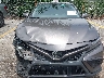 4T1S11AK5NU****** Destrozados 2022 Toyota Camry en Estado de Florida