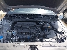 KMHLM4DG6SU****** Repairable 2025 Hyundai Elantra in Cleveland