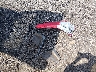 JHLRE3H58BC****** Wrecked 2011 Honda CR-V in South Carolina State