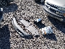 3GCPCREC6HG****** Wrecked 2017 Chevrolet Silverado 1500 in Louisiana State