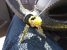 5NPDH4AE6EH****** Salvage 2014 Hyundai Elantra in Texas State