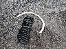 5UXCR6C01M9****** Wrecked 2021 BMW X5 in Louisiana State