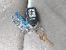 5FNRL5H66EB****** Salvamento 2014 Honda Odyssey en Estado de Kentucky