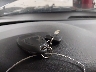 2G1WB5EK6B1****** Salvage 2011 Chevrolet Impala in Iowa State