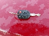 1FMCU0DG1AK****** Salvage 2010 Ford Escape in New York State