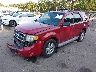 1FMCU0DG1AK****** Used and Repairable 2010 Ford Escape in Long Island