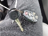 1GKER23777J****** Salvage 2007 GMC Acadia in New Jersey State