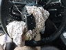 WAUAUGFF4J1****** Salvage 2018 Audi A3 in Texas State