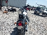 1HD1JM5159Y****** Salvage and Repairable 2009 Harley-Davidson Cross Bones in Indiana State