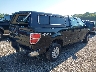 1FTVW1EF4DK****** Salvage and Wrecked 2013 Ford F-150 in Illinois State