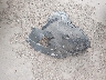 5NMJE3DE9RH****** Wrecked 2024 Hyundai Tucson in Texas State