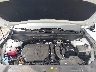 5XYRK4JF2SG****** Repairable 2025 Kia Sorento in Appleton