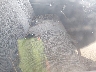 1FTEF15Y7TN****** Usados y Reparables 1996 Ford F-150 en Estado de Luisiana