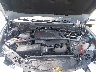 ZASPAKBNXM7****** Reparables 2021 Alfa Romeo Stelvio en Charlotte