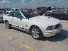 1ZVFT84N075****** Salvamento y Destrozados 2007 Ford Mustang en San Antonio South
