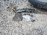 1GNEVFKWXJJ****** Salvage 2018 Chevrolet Traverse in Ohio State