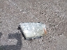 1FTPX14V08F****** Wrecked 2008 Ford F-150 in Indiana State