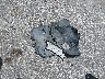 WDC0G4JB5GF****** Wrecked 2016 Mercedes-Benz GLC-Class in Florida State