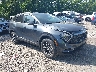KNDPVCDF0R7****** Salvage and Wrecked 2024 Kia Sportage in Nashville