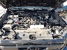 3TMKB5FN5RM****** Reparables 2024 Toyota Tacoma en Houston North