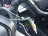 4T1B11HK0KU****** Salvage 2019 Toyota Camry in Virginia State