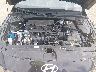 KMHLL4DG2TU****** Repairable 2026 Hyundai Elantra in Knoxville