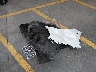 7MUCAAAG0SV****** Destrozados 2025 Toyota Corolla Cross en Estado de Arizona