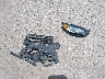 3FA6P0HD1JR****** Wrecked 2018 Ford Fusion in Texas State