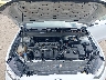 3FA6P0G70KR****** Reparables 2019 Ford Fusion en Tampa