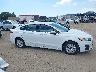 3FA6P0G70KR****** Usados 2019 Ford Fusion en Estado de Florida