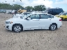 3FA6P0G70KR****** Reparables 2019 Ford Fusion en Estado de Florida
