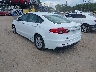 3FA6P0G70KR****** Salvamento y Reparables 2019 Ford Fusion en Tampa