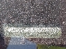 WDDGF4HBXDA****** Used 2013 Mercedes-Benz C 250