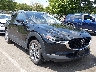 3MVDMBCM6SM****** Salvage and Wrecked 2025 Mazda CX-30 in Englishtown