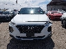 5NMS2CAD5KH****** Destrozados 2019 Hyundai Santa Fe en Estado de Texas