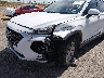 5NMS2CAD5KH****** Salvamento y Reparables 2019 Hyundai Santa Fe en Estado de Texas